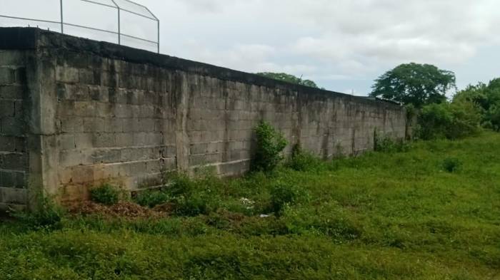 Promesas y abandono: el drama del estadio José Mercedes Arrocha en Natá