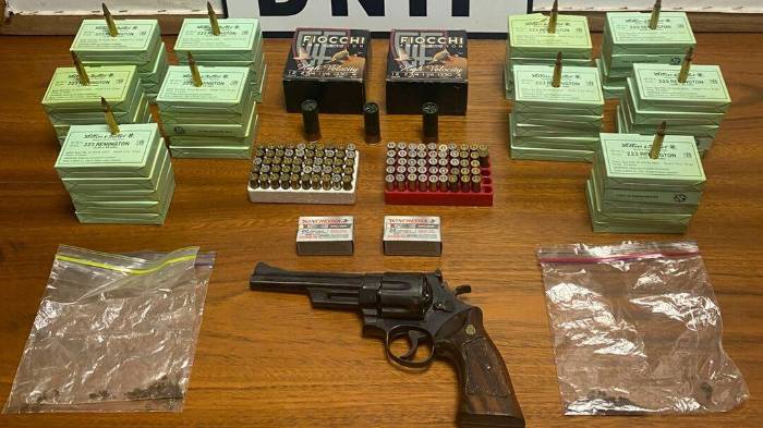 Autoridades decomisaron municiones, armas y presunta droga durante allanamientos en David.