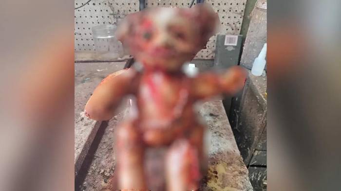 Las autoridades del informaron que un hombre, de 23 años, fue arrestado.