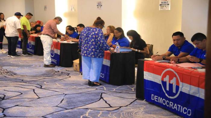 Dicha elección busca completar la estructura del CEN y fortalecer la conducción política del partido.