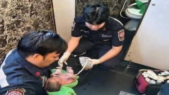 La historia de este pequeño ser que luchó por su vida con valentía ha conmovido a la comunidad.