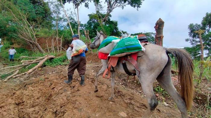 A caballo han tenido que llevar alimentos a las comunidades incomunicadas.