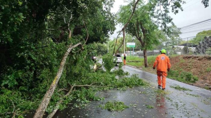 En varias zonas esperan los mayores acumulados de lluvias.