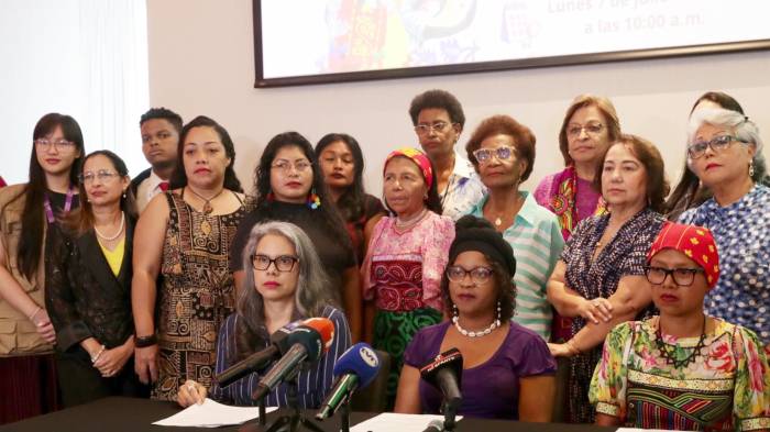 Más de 30 organizaciones de Panamá rechazan la eliminación del Ministerio de la Mujer.