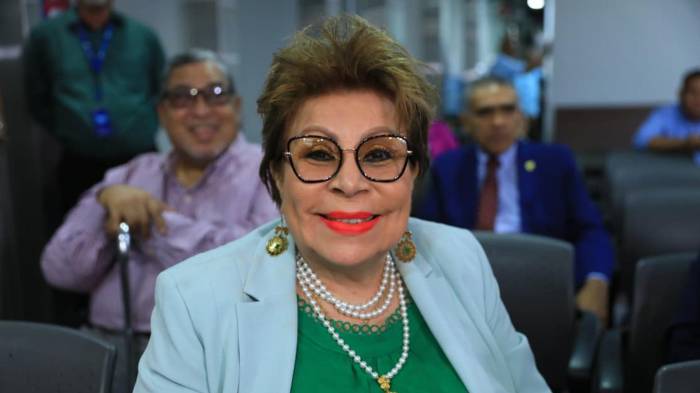 Gisela del Carmen Agurto Ayala durante su comparecencia ante la Comisión de Credenciales de la Asamblea Nacional, donde fue recomendada para ocupar la Sala Tercera de la Corte Suprema de Justicia.