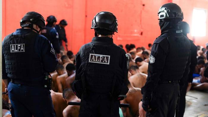 Operativo dejó decomiso de armas y celulares en Nueva Esperanza.