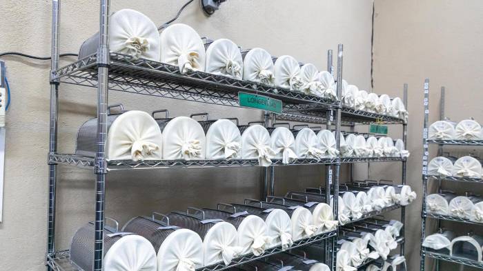 Fotografía cedida por Vanessa Olarte que muestra recipientes con moscas almacenadas en las instalaciones de la Comisión Panamá-Estados Unidos para la Erradicación y Prevención del Gusano Barrenador del Ganado (COPEG). EFE/ FAO/Vanessa Olarte