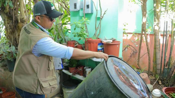 Minsa pide a los ciudadanos eliminar los criaderos de mosquitos.