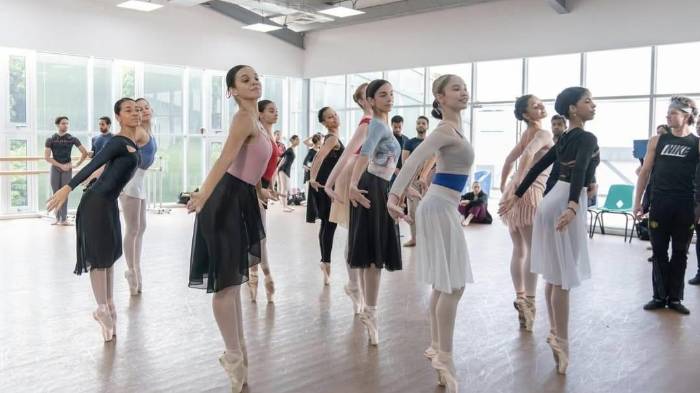 Redes Sociales/@balletnacionalpanama