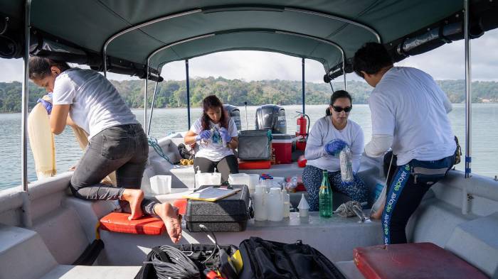 Equipo del proyecto recolectando muestras de plancton en el lago Gatún, en el Canal de Panamá.