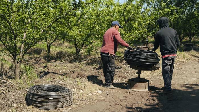 Fotografía cedida por Kilimo de dos personas sosteniendo un alambre en una zona de Peñaflor (Chile). EFE/ Kilimo /SOLO USO EDITORIAL NO VENTAS /SOLO DISPONIBLE PARA ILUSTRAR LA NOTICIA QUE ACOMPAÑA (CRÉDITO OBLIGATORIO)