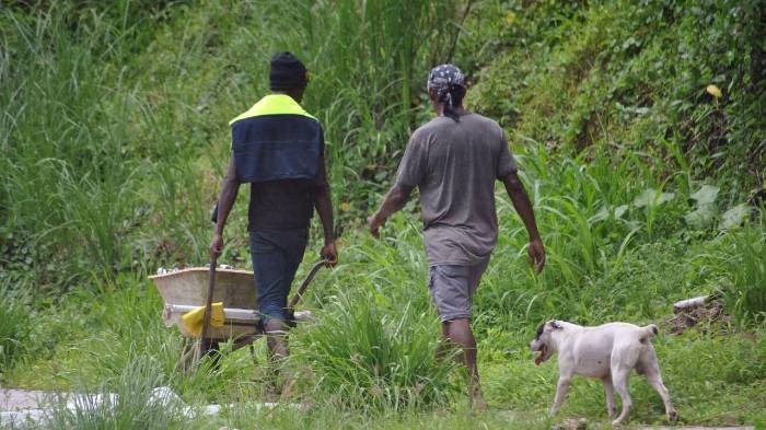 Botan desde basura orgánica hasta mobiliarios de madera.