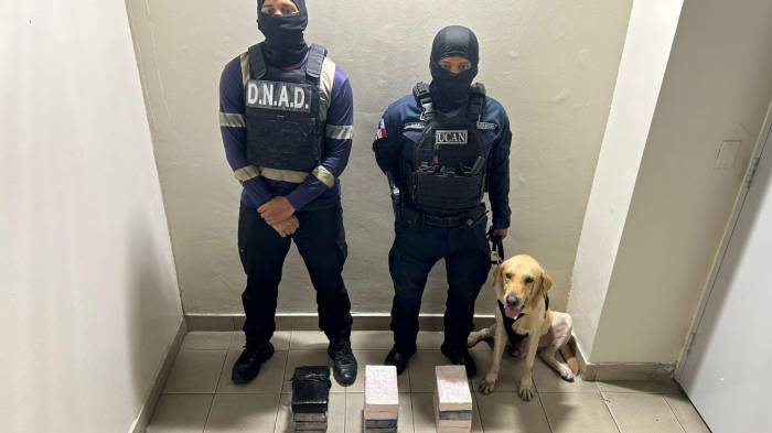 Paquetes de presunta droga fueron encontrados ocultos en techos de baños, cielo raso y lockers utilizados por trabajadores en un puerto de Colón.