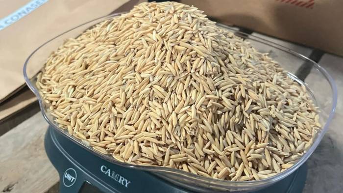 El presidente José Raúl Mulino fue enfático ayer con la postura de su administración.