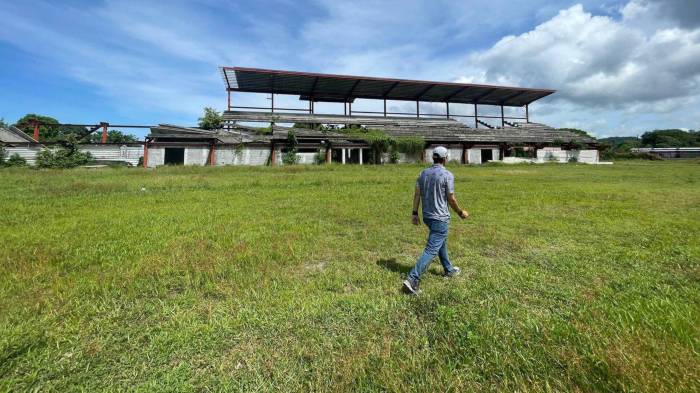El proyecto del estadio en San Vicente, Barú, se mantiene inconcluso desde hace seis años.