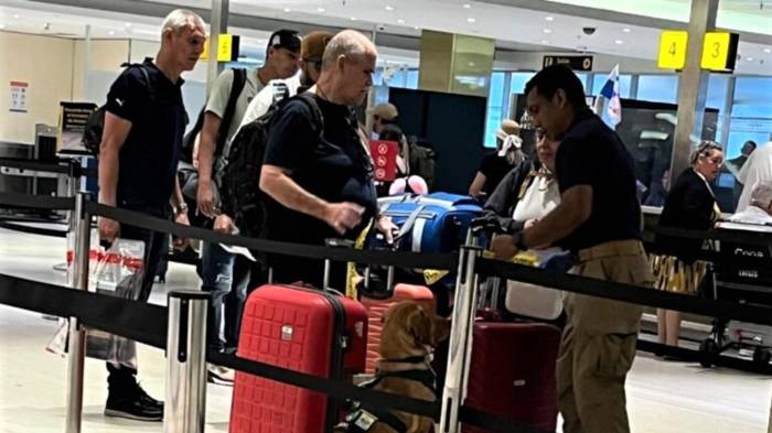 La Unidad Canina Agropecuaria inspecciona equipajes en Tocumen para detectar productos agropecuarios no autorizados.