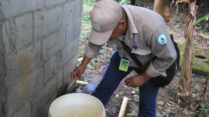 Personal de salud realiza labores de fumigación en comunidades de la Región Metropolitana como parte de los operativos intensificados contra el dengue.
