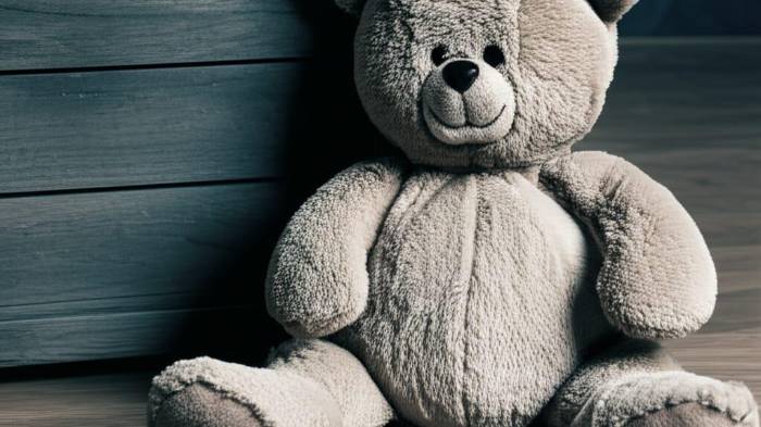 Esta situación plantea importantes desafíos en términos de condiciones de vida