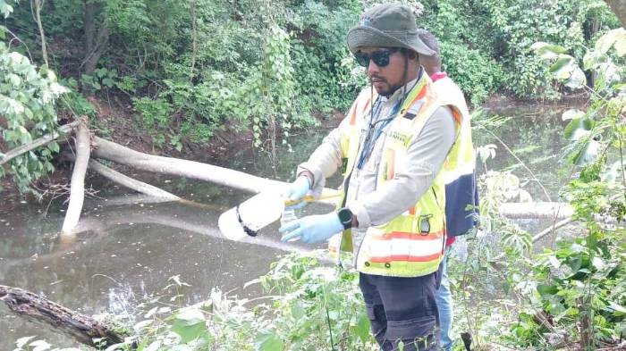 Según las autoridades la calidad del agua ha mostrado mejoras significativas.