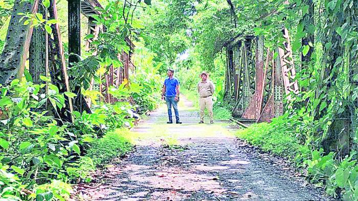 Voluntarios se sumaron al proyecto