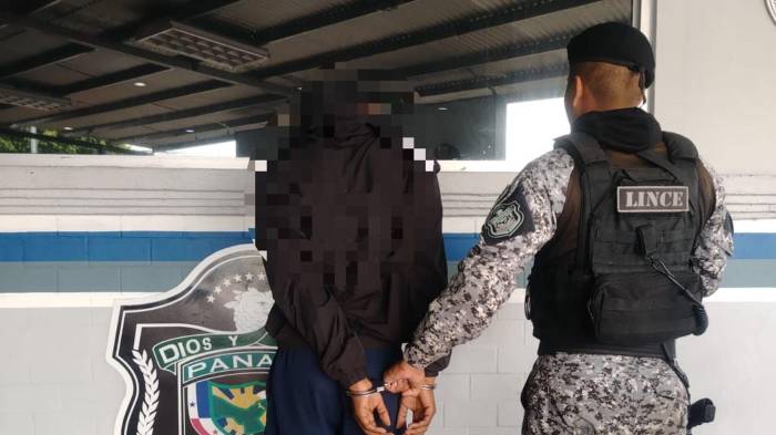 Operativos dejaron múltiples decomisos y aprehensiones.