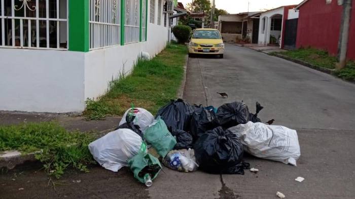 Los camiones de la AAUD pasan y no recogen las bolsas de basura.