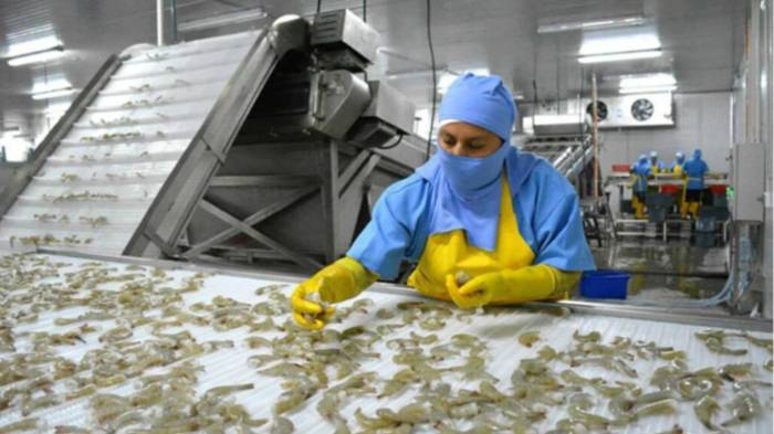 Panamá podrá exportar sin restricciones.