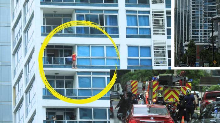 El suceso causó un gran tranque vehicular en la Avenida Balboa por un par de minutos.