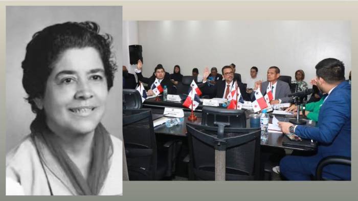 Proyecto de ley que crea el Festival Nacional Folclórico de la Tamborera y el Patronato Gladys de la Lastra fue prohijado en la Asamblea Nacional.