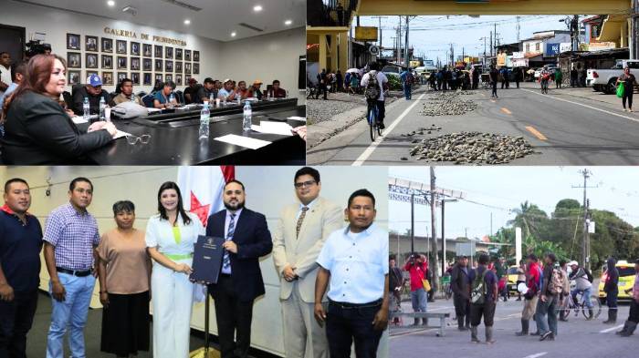 El proyecto fue aprobado con 48 votos a favor, uno en contra y ninguna abstención.