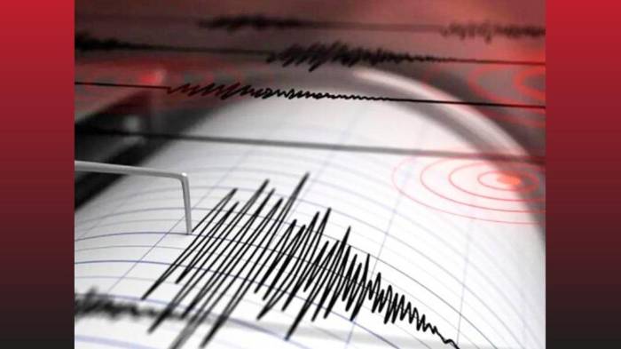 Terremoto de 7,5 sacude Chile y emiten alerta de tsunami