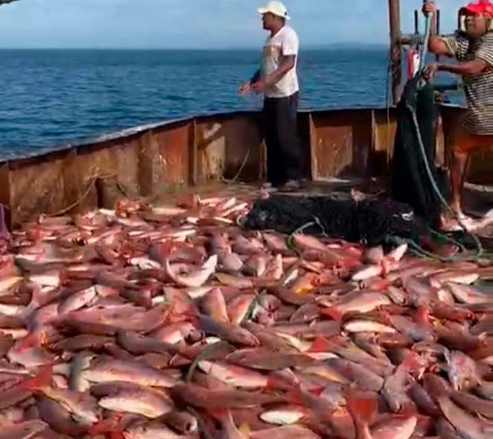 Toda la venta del camarón y pescados está en documentos de la Autoridad Marítima, según el dueño.