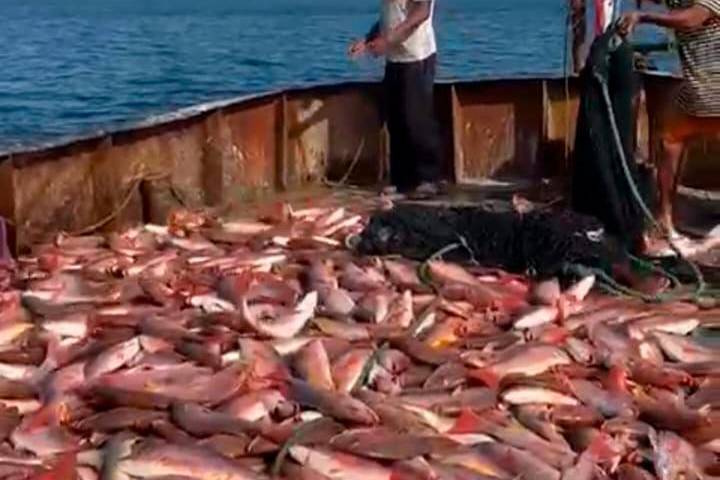 Toda la venta del camarón y pescados está en documentos de la Autoridad Marítima, según el dueño.