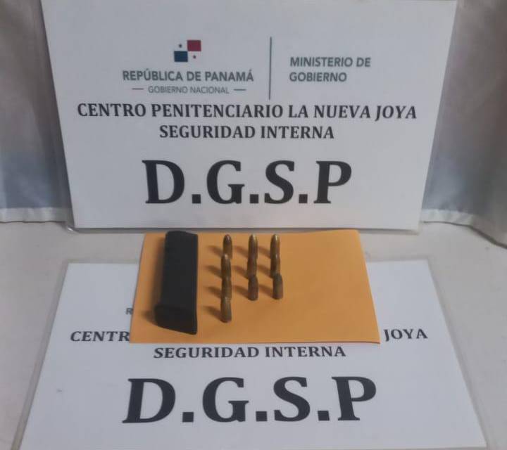 Decomisan proveedor y municiones en La Nueva Joya