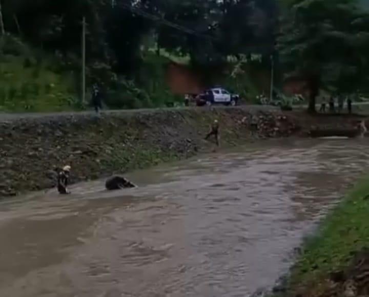 Momentos en que intentaban sacar los cuerpos de dentro del carro tipo camioneta.