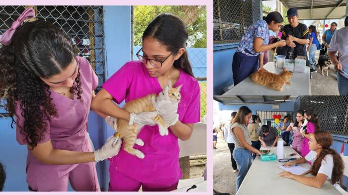 Feria veterinaria en Centro Femenino de Rehabilitación