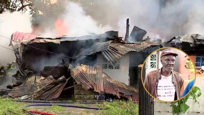 El hombre salió con vida, pero unos cachorritos que estaban adentro no corrieron la misma suerte.