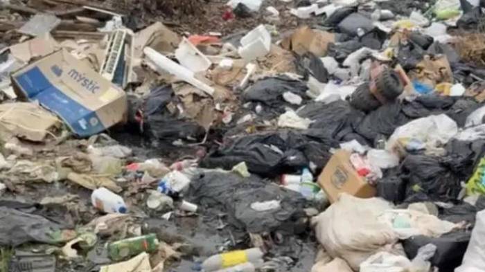 Según el director de Aseo Moreno: “El vertedero será intervenido para mitigar y controlar la mala disposición que había”