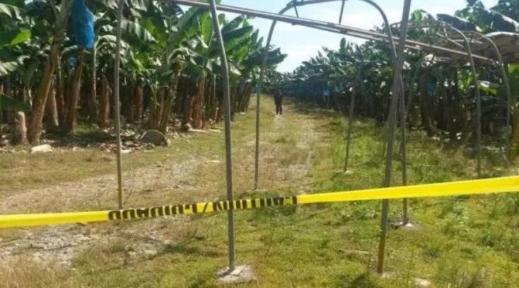 Bocas del Toro| ¿Qué se sabe de los cuerpos en estado de descomposición?