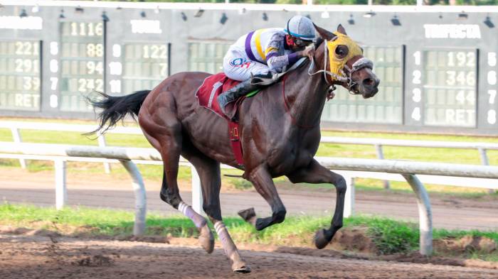 La ganadora llegando a la meta final.