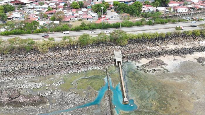 MiAmbiente divulgo esta fotografia el pasado 21 de julio junto a una nota de prensa.