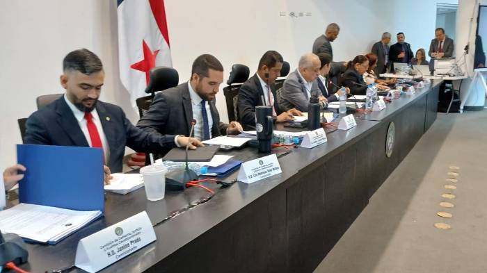 La Comisión de Gobierno de la Asamblea Nacional (AN).