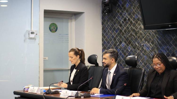 La diputada Prado, proponente del anteproyecto en la Comisión de Gobierno de la Asamblea Nacional.