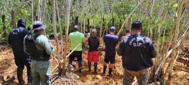 Minería ilegal: Policía detecta 10 hectáreas con daños ecológicos