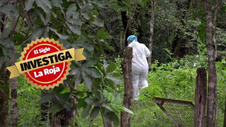 Entrega especial de El Siglo: carnicería a cielo abierto en diciembre