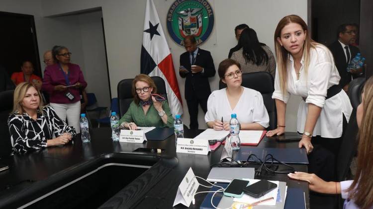 La ministra de Gobierno, Montalvo, destacó que este es un tema urgente para salvaguardar la vida de los menores.
