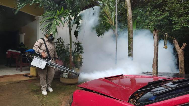 Minsa reporta 23 defunciones a causa del dengue