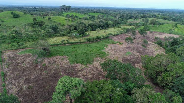 Los hallazgos han sido posibles gracias a operativos de campo y la tecnología satelital.