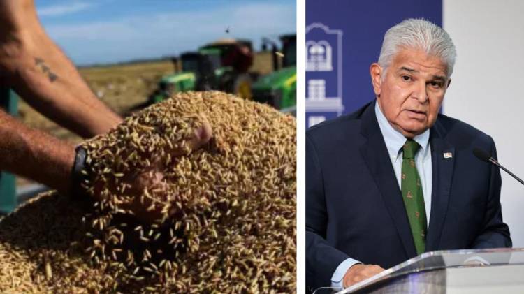 El presidente se refirió a este tema en su conferencia de este jueves.