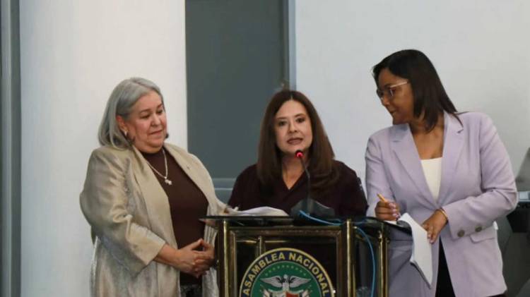 El proyecto busca restituir el Instituto Nacional de la Mujer (INAMU).